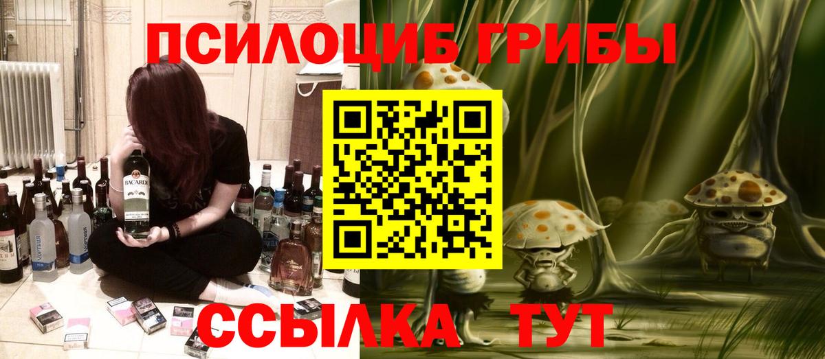 Норильск  Псилоцибиновые грибы Psilocybine cubensis  где купить наркоту  Вход с VPN 
