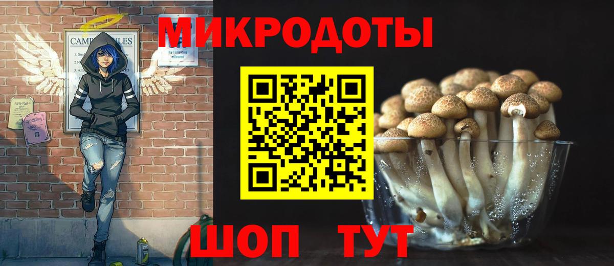 Псилоцибиновые грибы мицелий Норильск